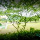 유곡면 운동장 이미지