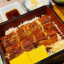 도쿄 사이카보 | 청담동 일식당 이자카야 도쿄사이카보 청담 히쯔마부시 후기