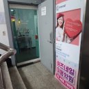 쉬즈네일블라썸 네이버블로그