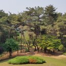 조안묘소 이미지