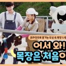 형식목장 이미지