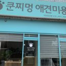 쿤찌멍 애견미용 이미지