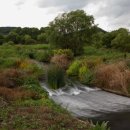 기획전시 「습지를 가다」 이미지