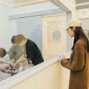 고양이이발관 송도점 이미지