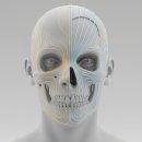 강남신경과의원 | 강남지방이식 잘하는 곳? 절대 후기만 보시면 안됩니다.