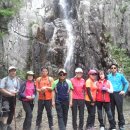 김화자농장 이미지