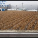 신양보건진료소 이미지