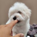 Coton4u 이미지