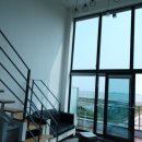 매료 37.5 이미지