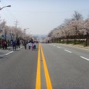 제5회 예산 벚꽃 전국마라톤대회 이미지