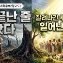 은혜언약의 정수 : 이사야 11장의 구속사적 드라마(구원론, 성령론, 교회론, 종말론) 이미지