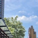삼향동주민센터 입구 인도 | 강남역에서 서울역까지 엄마와 서울나들이(재활센터 방문하고 낮술까지)