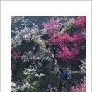 (주)남도연구소 이미지