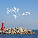 📢도로시 수제케잌 만원에 행복시리즈2탄!! 주문받아요!^^제주말차크림2탄!! 이미지