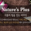 해마루약국 이미지