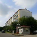 시화사랑약국 이미지