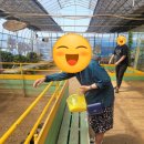 앵두 노래연습장 이미지