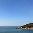 군산 오션뷰 카페 비응항 13%, 나운동 또또생곱창 후기