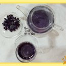 힐링꽃차 이미지