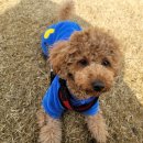 가평솔마당 이미지