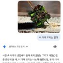 도리상조 네이버블로그