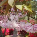 정임도서관 이미지