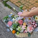 심화(心花) 이미지