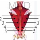 수원-0036 이미지