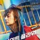 주연플라워 - 부천시 소사구 양지남로 33-1 | 주연플라워