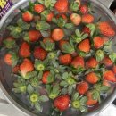 다한농장 이미지