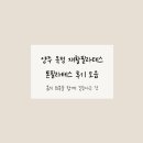 톤필라테스 - 안산시 단원구 광덕1로 276 | 🌿 톤필라테스 후기 – 몸의 회복을 함께 걷는다는 것