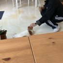 수채화로 만나는 일상 스케치 이미지