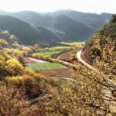 죽장면 참느리 이미지