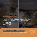 심동물병원 이미지