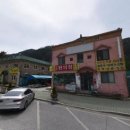 세븐일레븐 군청점 티스토리