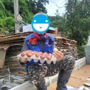 대덕구 노인종합복지관 이미지