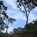 정류장 입구 이미지