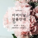 하우애니 이미지