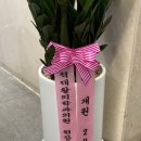 경산제일안과의원 네이버블로그