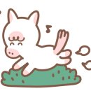 청학 승마클럽 이미지