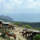 [타가이타이]타알 화산 [Taal Volcano] 이미지