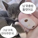상리작은도서관 | 굳이 돌아보고, 굳이 남기는 일상
