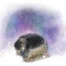 【이기는 자의 모습】 이미지