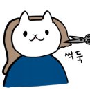 에이룸헤어살롱 네이버블로그