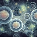 (주)엔젠바이오 이미지