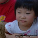 봉덕초교 병설유치원 이미지