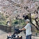 유모차대여소 네이버블로그