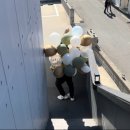 메르송풀앤스파