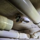 미리네 수선 이미지