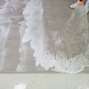 양재세탁 이미지